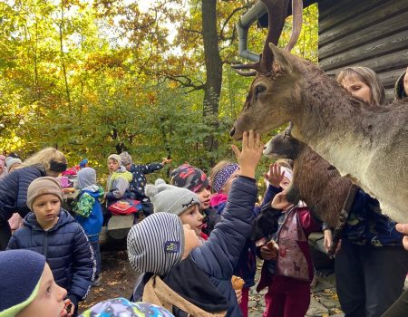 Výlet předškoláků – program SVČ „O LESE V LESE“